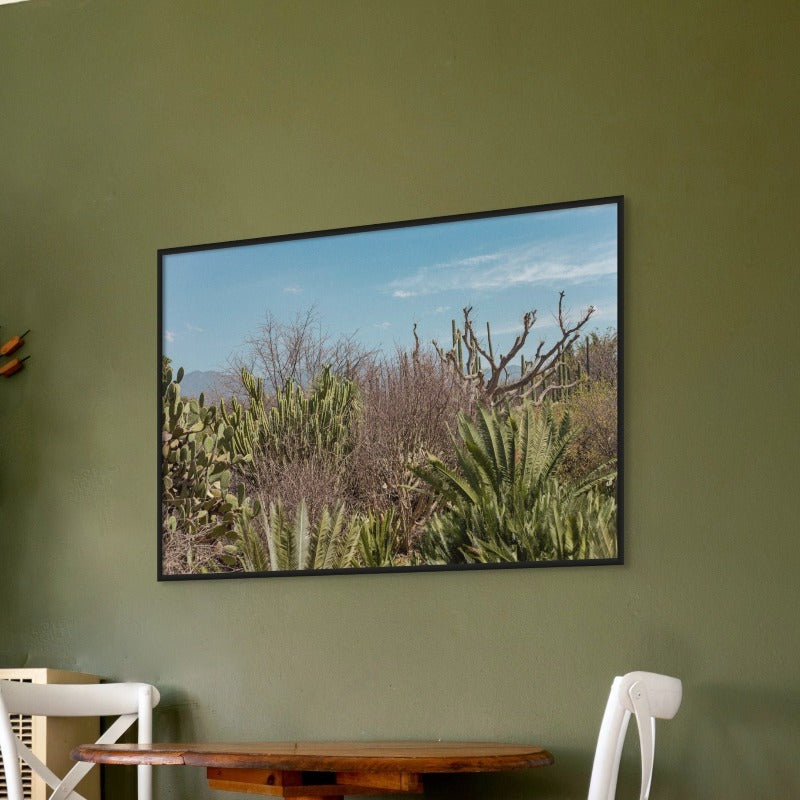 Cactus Oaxaca Art Print