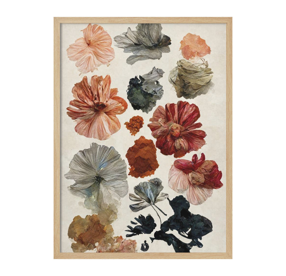 Dry Flower Collection Art Print