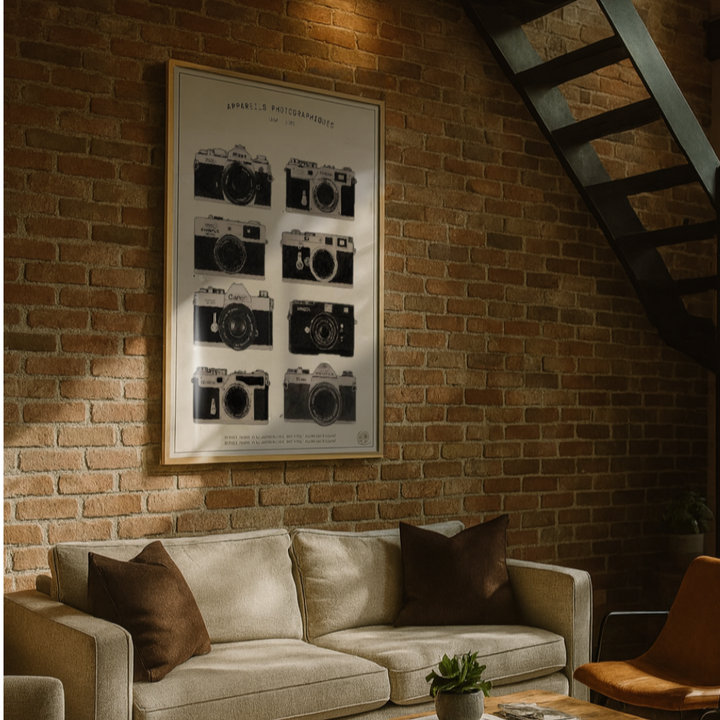 Cuadro "Appareils Photographiques"