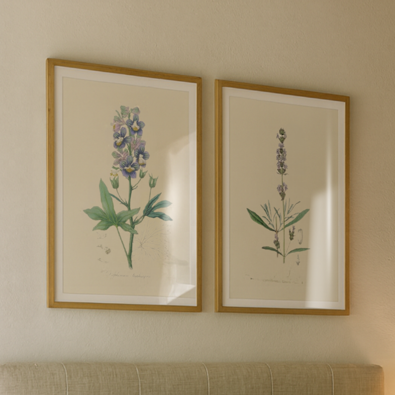 Set de cuadros "Arte Herbarium I"